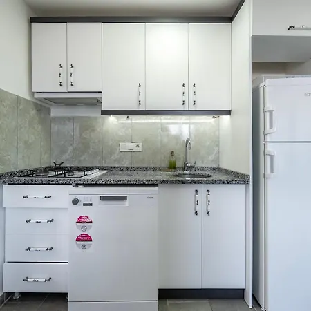 公寓 Atli 费特希耶